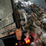 Genova: ancora irrisolta l'emergenza rifiuti