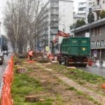 Milano: al via il taglio di oltre 500 alberi