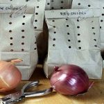 Come conservare aglio e cipolle? Scopriamolo insieme