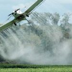 Pesticida cancerogeno: l’Italia è uno dei maggiori utilizzatori