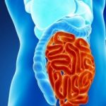 Parassiti intestinali: sintomi e cure