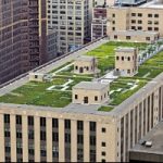 I tetti di New York sono risorse per l'ambiente