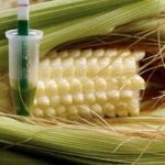 Mezza Europa (Italia compresa) libera da OGM