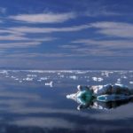 Rifiuti di plastica nel mare Artico