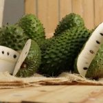 Graviola: il super frutto dell'Amazzonia. Efficace contro il cancro?
