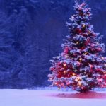 Perché l’albero è il simbolo del Natale?