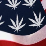 L’America della marijuana legale: il giro d'affari è in costante crescita