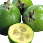 Feijoa: il frutto-elisir tropicale che possiamo piantare in giardino