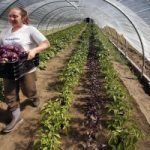 Sempre più donne in agricoltura: +76% in un anno