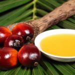 Olio di palma è cancerogeno. Allarme dell'agenzia per la sicurezza alimentare