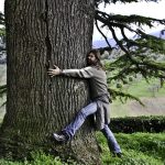 Ecco 12 motivi per abbracciare gli alberi