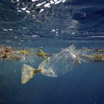 E se fossero alcuni microbi di nuova evoluzione a mangiare la plastica degli oceani?
