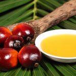 Olio di palma contiene composti cancerogeni?