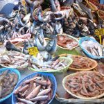 Stop alla pesca nell'Adriatico: 43 giorni senza pesce fresco
