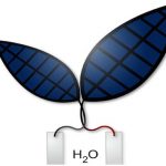 La foglia artificiale creata ad Harvard che trasforma la luce solare in combustibile liquido