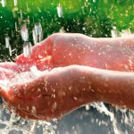 4 metodi innovativi per usare la raccolta dell'acqua piovana