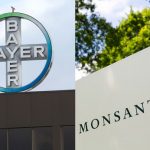 Bayer compra Monsanto: ecco i rischi per l’agricoltura