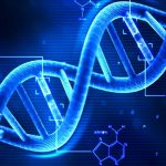 Il materiale genetico che rivoluzionerà il nostro mondo