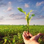 La Lombardia stanzia 12 milioni per l'agricoltura biologica