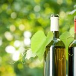 Mille vini bio si sfidano a bioweinpreis