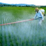 Onu: ogni anno 200mila morti per pesticidi inutili