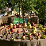 “Frutti Antichi”: rassegna di piante, fiori e frutti dimenticati promossa dal FAI