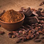 Il commercio di cacao mette in pericolo i parchi africani