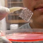 Nuova tecnica di biostampa in 3D per tessuti viventi