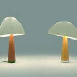 Far crescere una lampada fatta di funghi