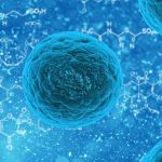 La chemioterapia lavora a livello mitocondriale