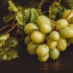 L'estratto secco d'uva aumenta la produzione di citochine
