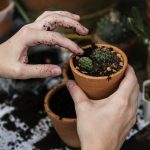 FARMacy: il giardinaggio che fa miracoli per l’umore