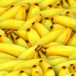 Arriva in Sud America il fungo che distrugge le banane
