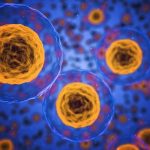 Le microplastiche e la morte delle cellule