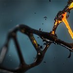 Test del DNA per crescere meglio i figli