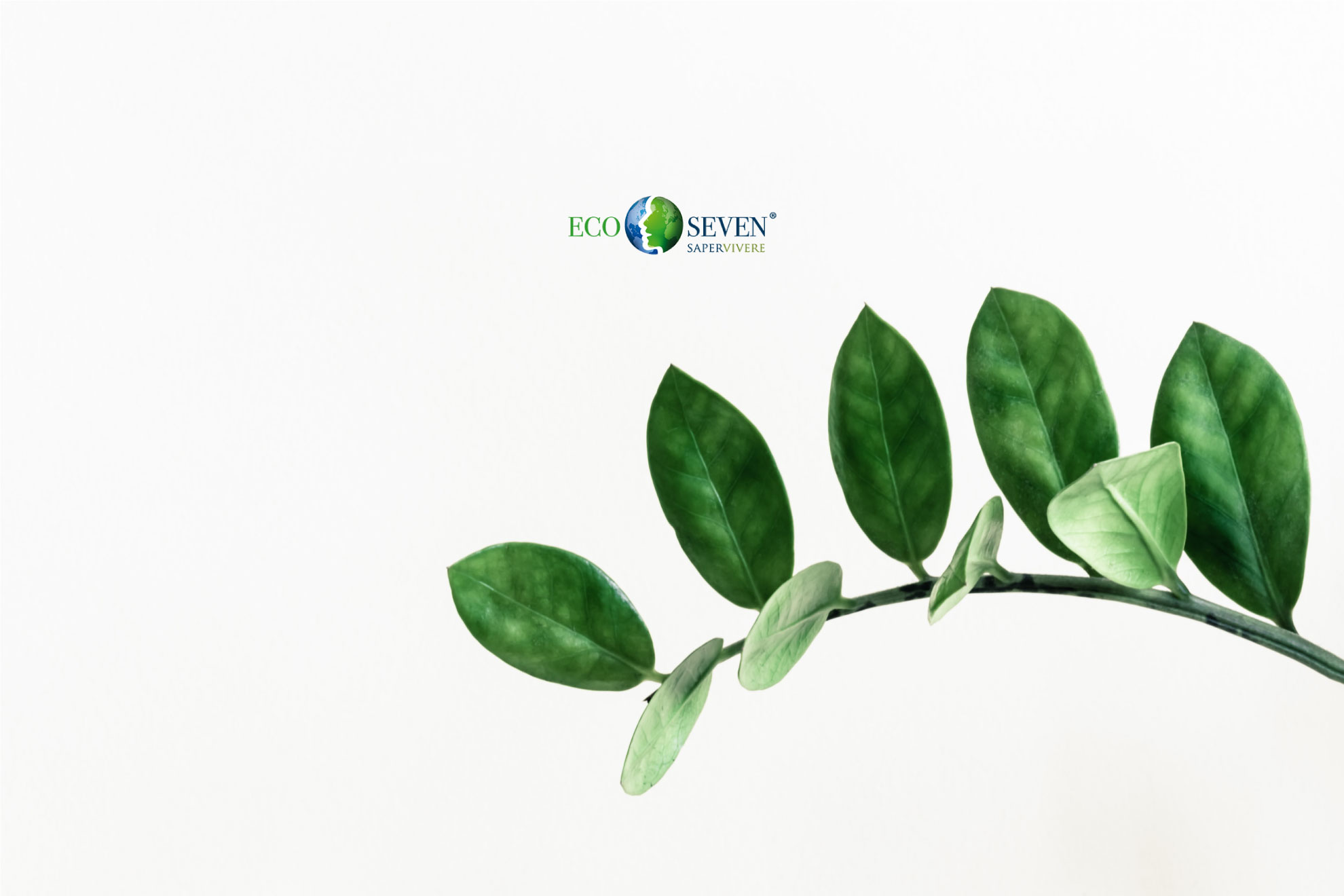 Immagine foglie con logo Ecoseven