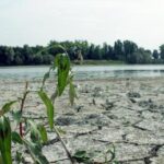 Giornata mondiale Ambiente, 28% Italia a rischio desertificazione: l'allarme