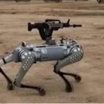 Cani robot pronti ad uccidere, Cina trasforma migliori amici dell'uomo in macchine da guerra - Video
