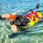 Estate, Sics: Cani salvataggio pronti a tuffarsi per sicurezza spiagge italiane e laghi