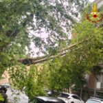 Maltempo a Roma, albero cade e finisce su palazzo: evacuati 3 appartamenti