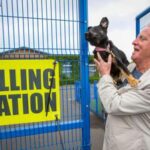 Elezioni Regno Unito, 'sì' al seggio da ubriachi e con i cani, 'no' ai selfie: tutte le regole del v...
