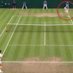 Wimbledon, la magia di Sinner gela Shelton - Video