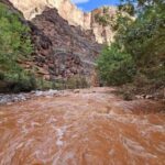 Paura al Grand Canyon per inondazioni improvvise, oltre 100 persone evacuate - Video