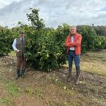 Agroalimentare, Op Armonia, da Salerno arriva unica varietà italiana di clementina tardiva