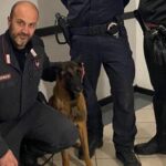 Omicidio Roberto Guerrisi, ritrovata l'arma del delitto grazie al fiuto del cane Cooper