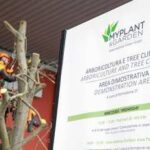 FieraMilano Rho si trasforma in giungla sontuosa con Myplant, dal 19 al 21 febbraio